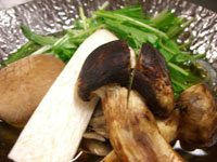 松茸もありました!